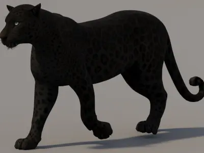  Animated Black Panther 3D Model 