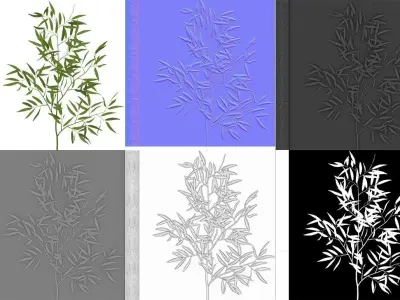 Eucalyptus tree 1 Low-poly 3D model