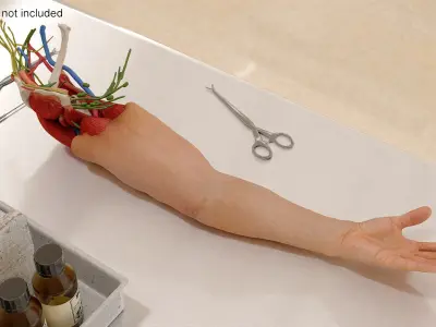  Arm Realistic Male Anatomy 