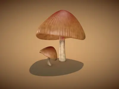 Mushroom 3 two mushrooms Low-poly 3D model