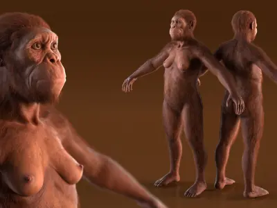  Life-Size Model of Prehistoric Hominin Female Fur for Cinema 4D 