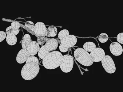 Green Grapes  3D model