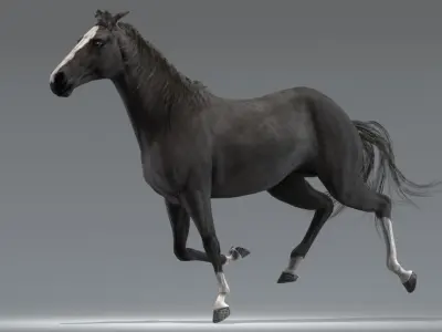  Horse Black Animated 