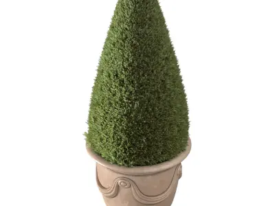 Thuja in a classic French pot Tree Patio Porch Balcony  3D model
