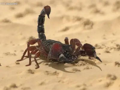  Walking Scorpion Fur Animated Rigged 