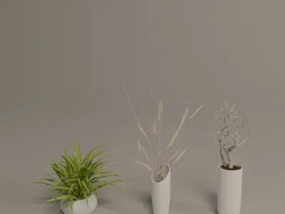 Bath accessories 3D model purchase