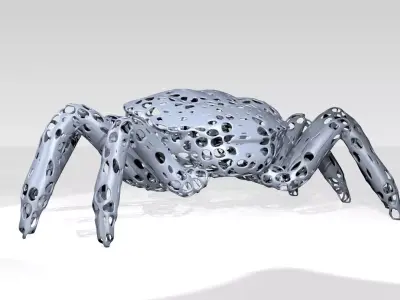 Crab Voronoi 3D model