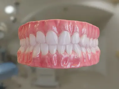 Teeth  Low-poly 3D model