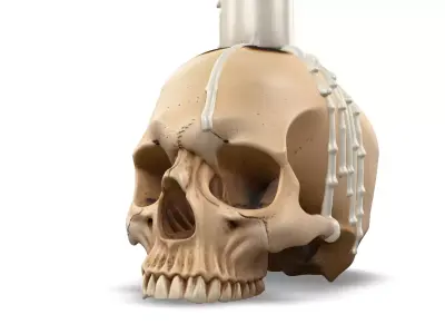  Skull with a Melting Candle Free low-poly 3D model