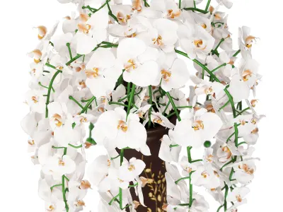 Orchid bouquet for interior 3D model
