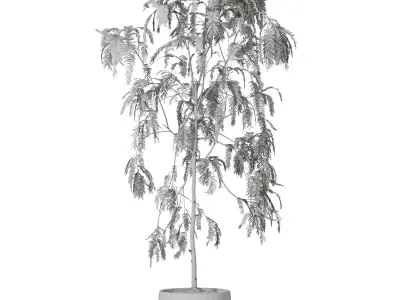 Indoor Plant Suamei 3D model