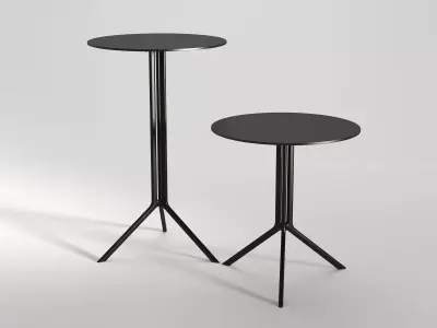 Poule Round 3D model