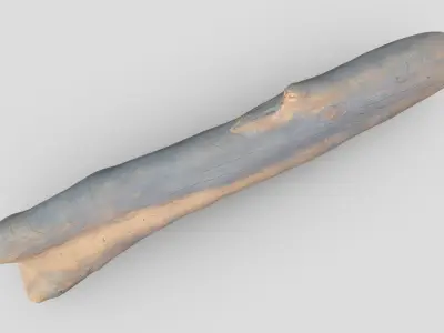 Dead Wood 6 Low-poly 3D model