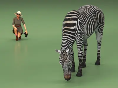  Explorer and Zebra 