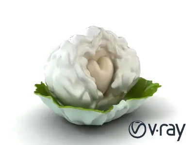 Fantasy Cloud Dimsum Sculpture model pack Low-poly 3D model