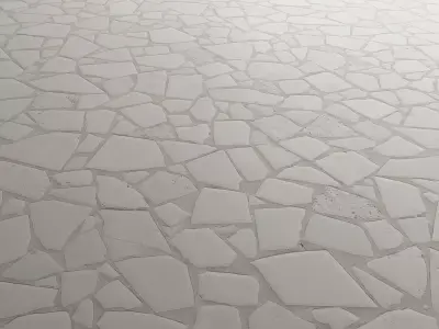 Floor Stone Mosaic of Large Fragments 09 Texture