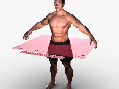 Planes of Body Male 3D model