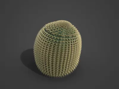 2021 PBR Barrel Cactus Collection - Echinocactus Acanthodes  3D model