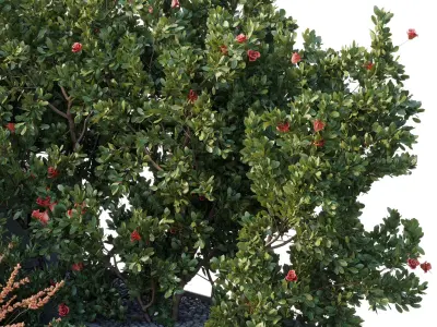 Garden Plants Flowers Box - Outdoor Plants 212 3D model