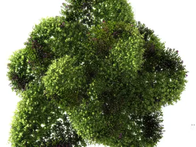 outdoor Modern greenery 3D model