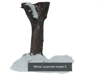 Winter 3D scan collection 3D Model Pack