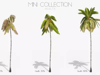Coconut Palm Tree 3698 - Health Collection Low-poly 3D model