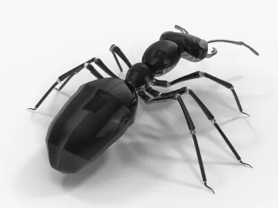 Black Mechanical Ant 3D model