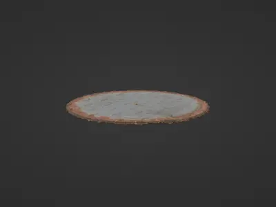 Metal Hole Cover Low-poly 3D model