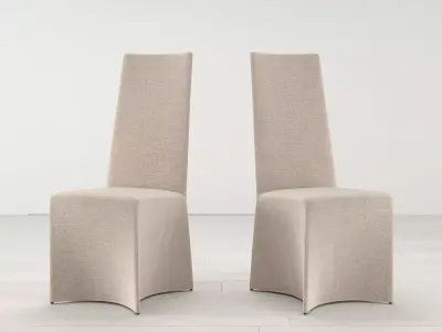 Liry and Liry up Chair 3D model