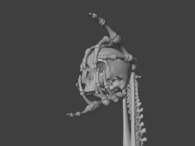 Skull Staff Low-poly 3D model