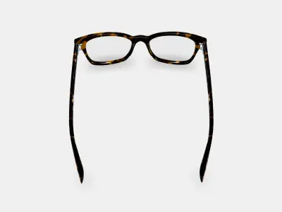 Landon Eyeglasses in Whiskey Tortoise 3D model