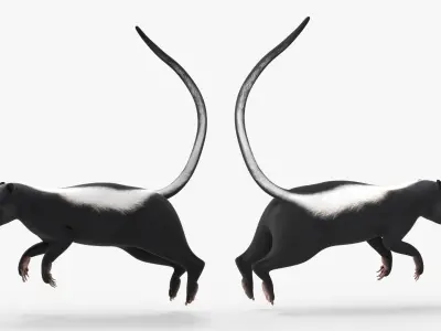  Skunk Animal Animated Rigged for Blender 