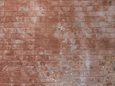 brick 460 Texture