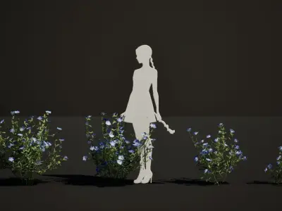 Street Garden in JAPAN - 4 Blue Baby Eyes Flower Grass Plant Low-poly 3D model