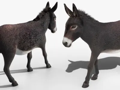  Walking Domestic Donkey Fur Animated Rigged for Blender 