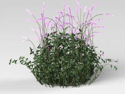 5 Type of Out door Bush Set vol 3D model