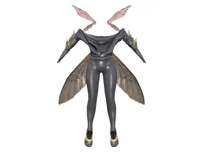 Full Fly Character Costume Outfit Low-poly 3D model