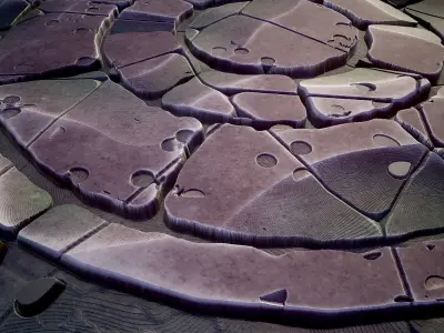  Stylized Ground with Circular Pattern  - Tutorial Included Texture