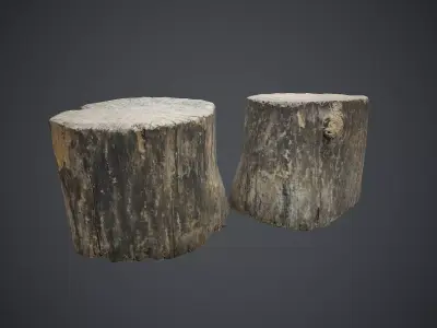 Wood Stump 1 PBR Game Ready Low-poly 3D model