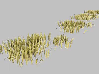 Farm Greenhouse 3D model