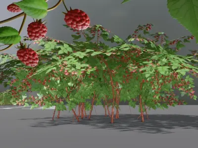 Low-Poly Rasberry Bushes and Hedges Low-poly 3D model