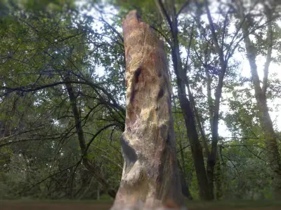 Tree Stump Low-poly 3D model