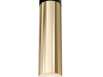 Oralie Pendant Light Brass  Black 3D model