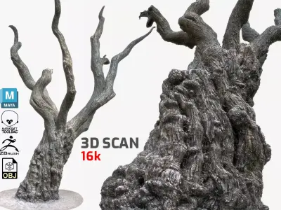 PBR Game Ready 3DModel TreeTrunk1 Maya ZBrush MarmosetToolbag Low-poly 3D model