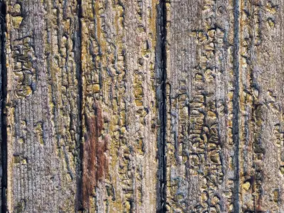 Old painted boards material Low-poly 3D model