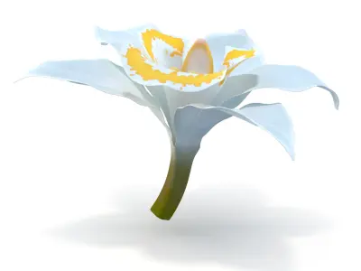  3D Flowers Collection – High-Quality 4K PBR Asset Pack | Orchids, Roses, Nymphaea &amp;amp; Lilies 