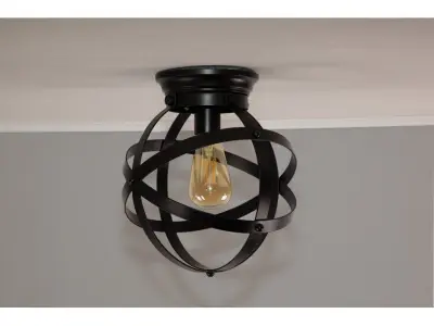 Walck Light Caged Globe Flush Mount 3D model