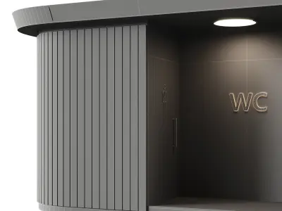 Public toilet 3 3D model