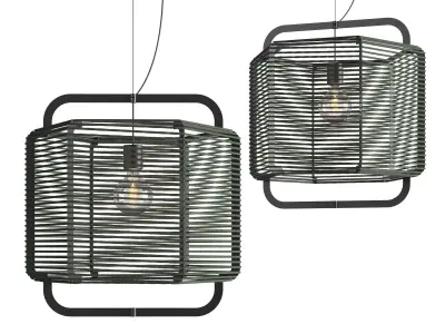 Corda 50cm Green Algae 3D model