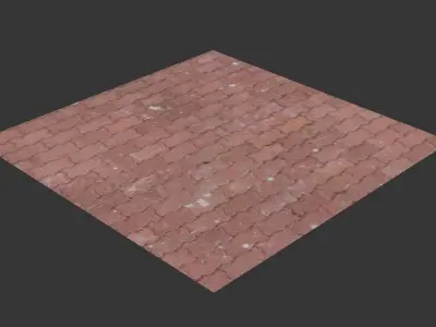 Red Tiles Floor Scan  3D model